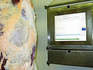 Emydex software in use on Meat Factory floor terminals