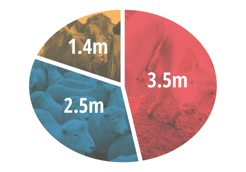 traceability on 7.5m stock