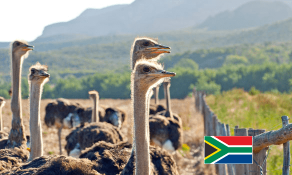 Klein Karoo - Ostrich - Emydex