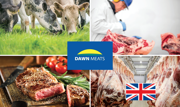 dawnmeats_uk4