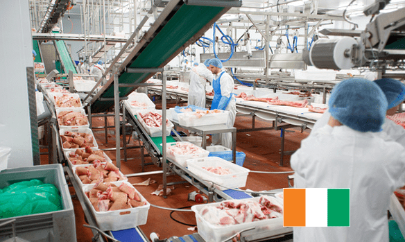 Emydex installed in Ireland’s Largest Pig Processor