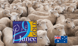 Emydex_live-on-junee-lamb_3