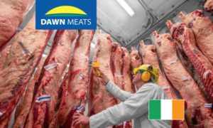 dawnmeats