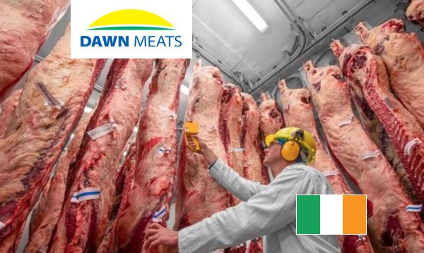 Dawn Meats