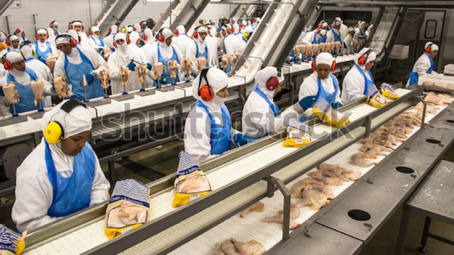 Poultry Secondary Processing | Emydex