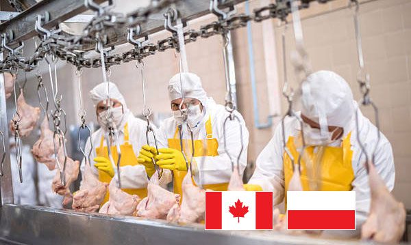 Emydex Poultry Processing