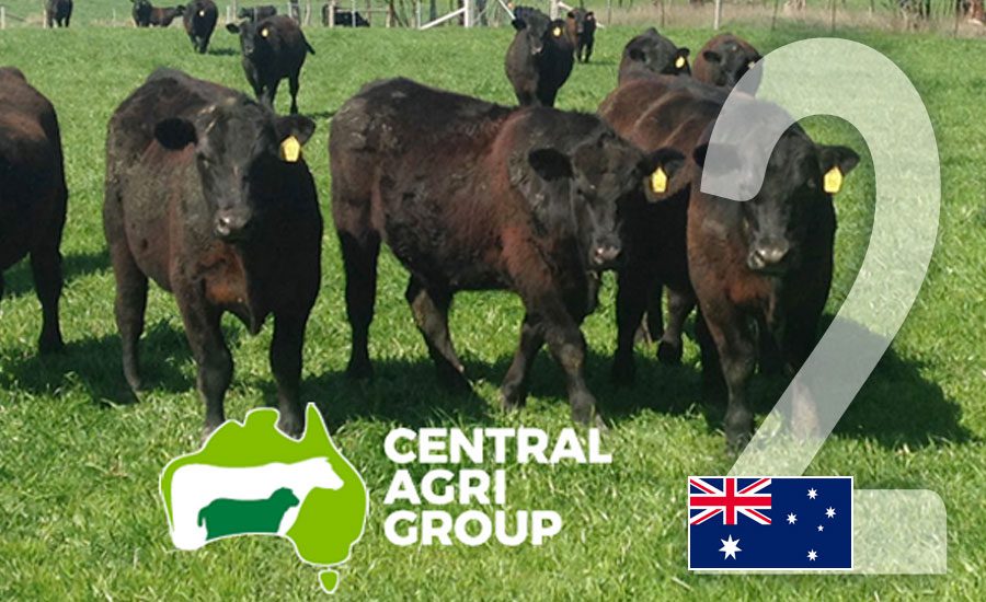 Central Agri Group