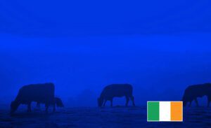 Ashbourne Meats