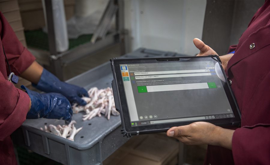 Murray's Chicken team implementing Emydex system​_ Murrays-quality-management