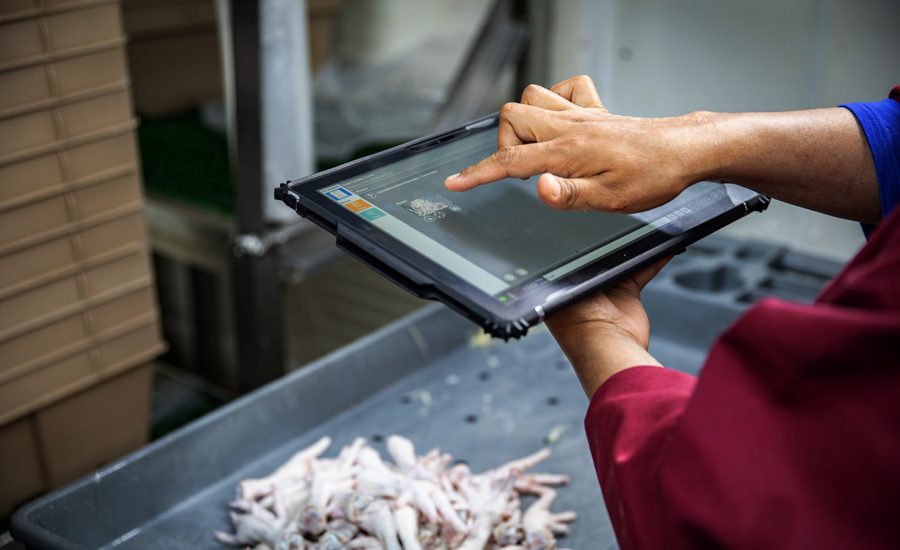 Murray's Chicken team implementing Emydex system​_Murrays-quality-management