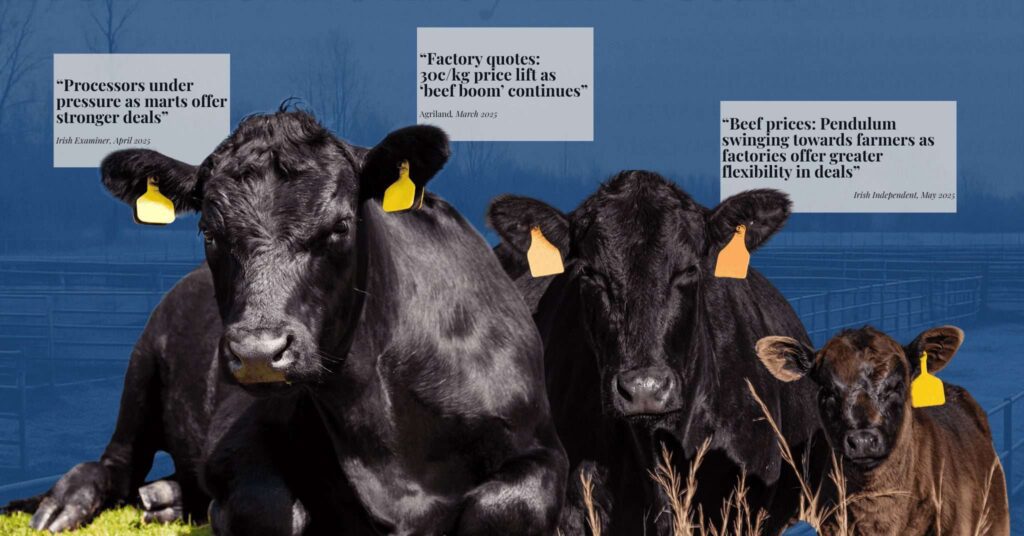 Cattle Shortage and Processor Pressure